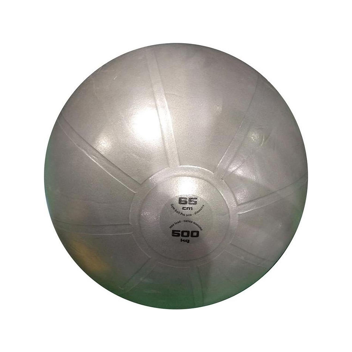 0008239_lopta-za-gimnastiku-pro-toorx-65-cm-siva