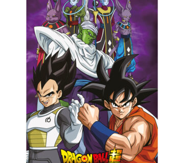 Dragon Ball deka 100x140 - cover