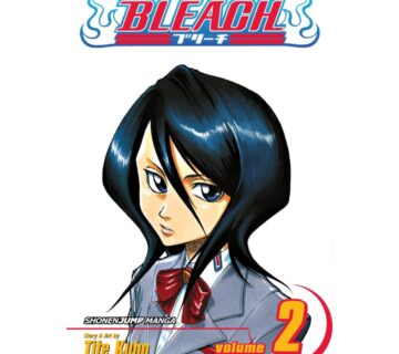 Bleach vol. 2 - cover