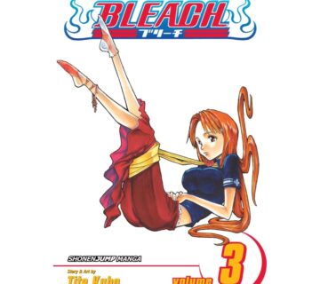 Bleach vol. 3 - cover
