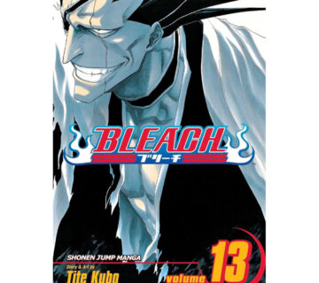 Bleach vol. 13 - cover