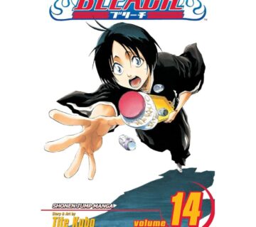 Bleach vol. 14 - cover