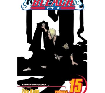 Bleach vol. 15 - cover