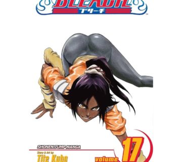Bleach vol. 17 - cover