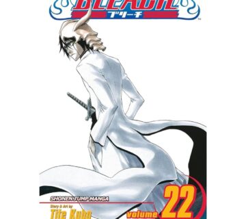 Bleach vol. 22 - cover