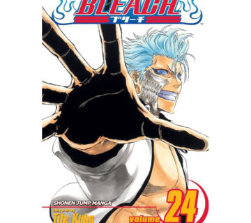 Bleach vol. 24 - cover