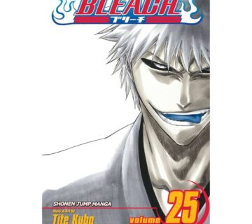 Bleach vol. 25 - cover