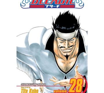 Bleach vol. 28 - cover
