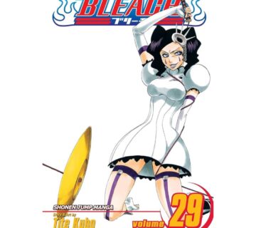 Bleach vol. 29 - cover