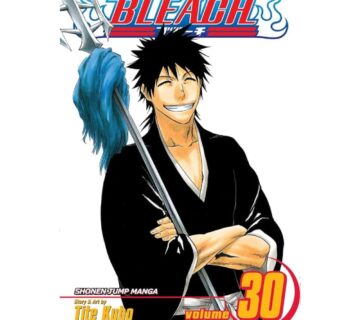 Bleach vol. 30 - cover
