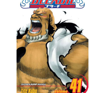 Bleach vol. 41 - cover