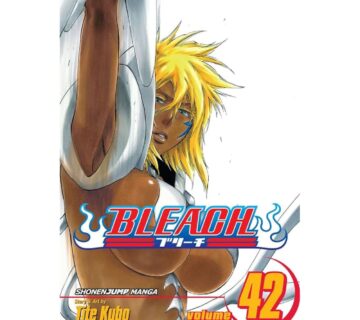 Bleach vol. 42 - cover