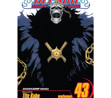 Bleach vol. 43 - cover