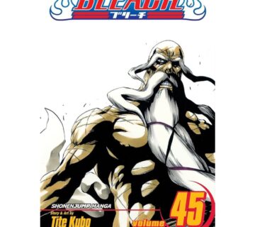 Bleach vol. 45 - cover