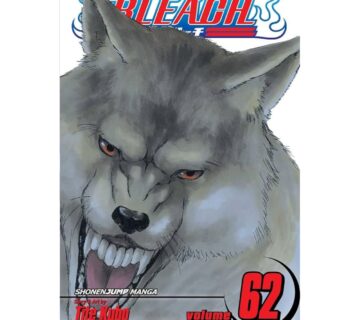 Bleach vol. 62 - cover