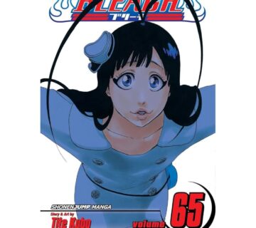 Bleach vol. 65 - cover
