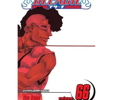 Bleach vol. 66 - cover