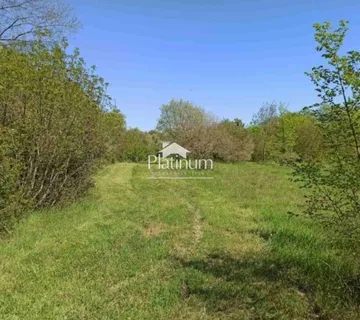 ISTRA, PAVIĆINI, GRAĐEVINSKO 3000M2, TOP LOKACIJA - cover
