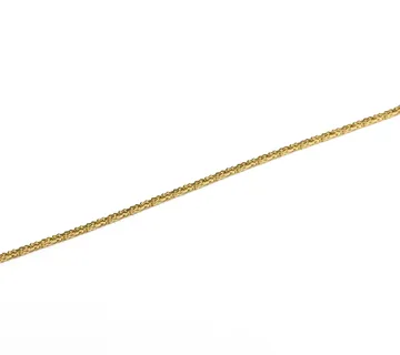 Zlatna narukvica William - cover