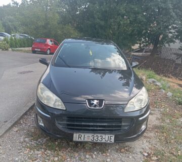 Peugeot 407 - cover