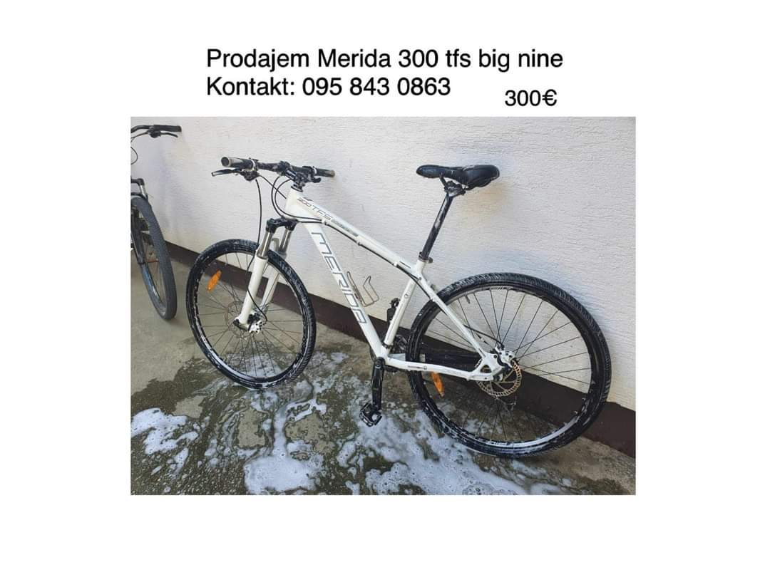 1000029699