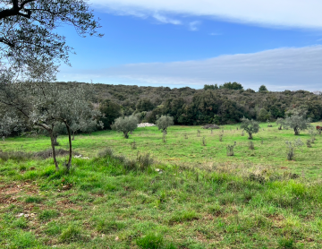 Prodaje se poljoprivredno zemljište - pašnjak, 1.940 m² - cover
