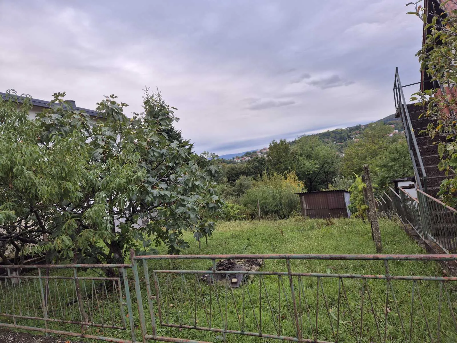 Fotografija
