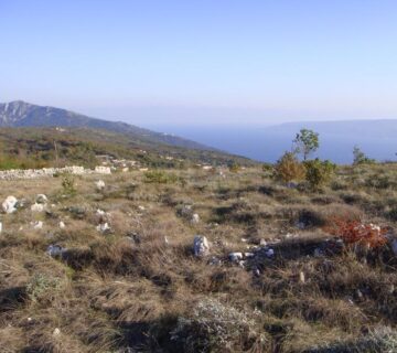 Istra, Ripenda, poljoprivredno zemljište 50000 m2, 1600 m od mora - cover