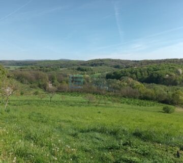 Prodaja, Daruvar, kuća sa imanjem 17.000 m2 - cover