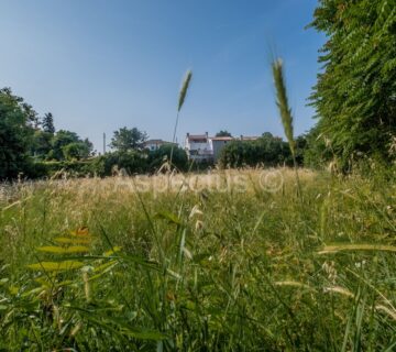 Građevinsko zemljište 3004 m2, Vodnjan - cover