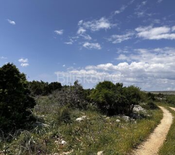 Prodaja, poljoprivredno zemljište, otok Pag 83.000 m2 - cover