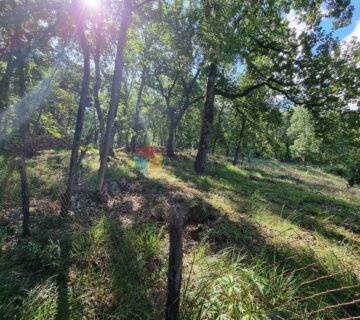 Poljoprivredno zemljište u okolici Labina,  14 050m2 - cover