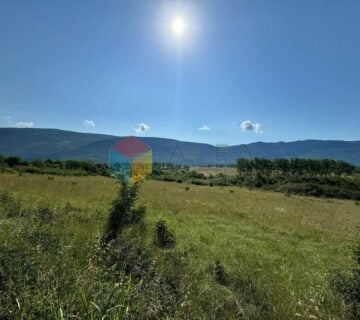 ISTRA, ČEPIĆ! Poljoprivredna parcela uz asfaltnu prometnicu 11 364m2 - cover