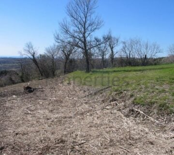 GROŽNJAN - Saltarija, GRAĐEVINSKO ZEMLJIŠTE OD 3155 m2 - cover