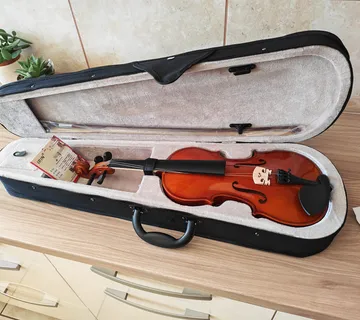 Violina 3 /4 NOVO - cover