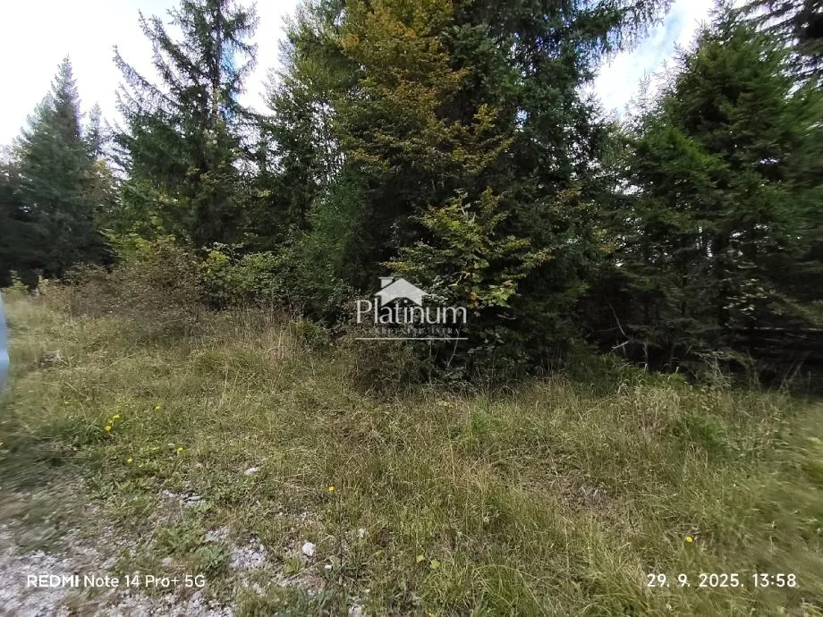 Fotografija