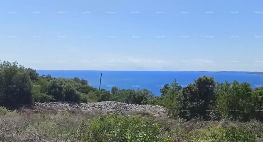 Fotografija
