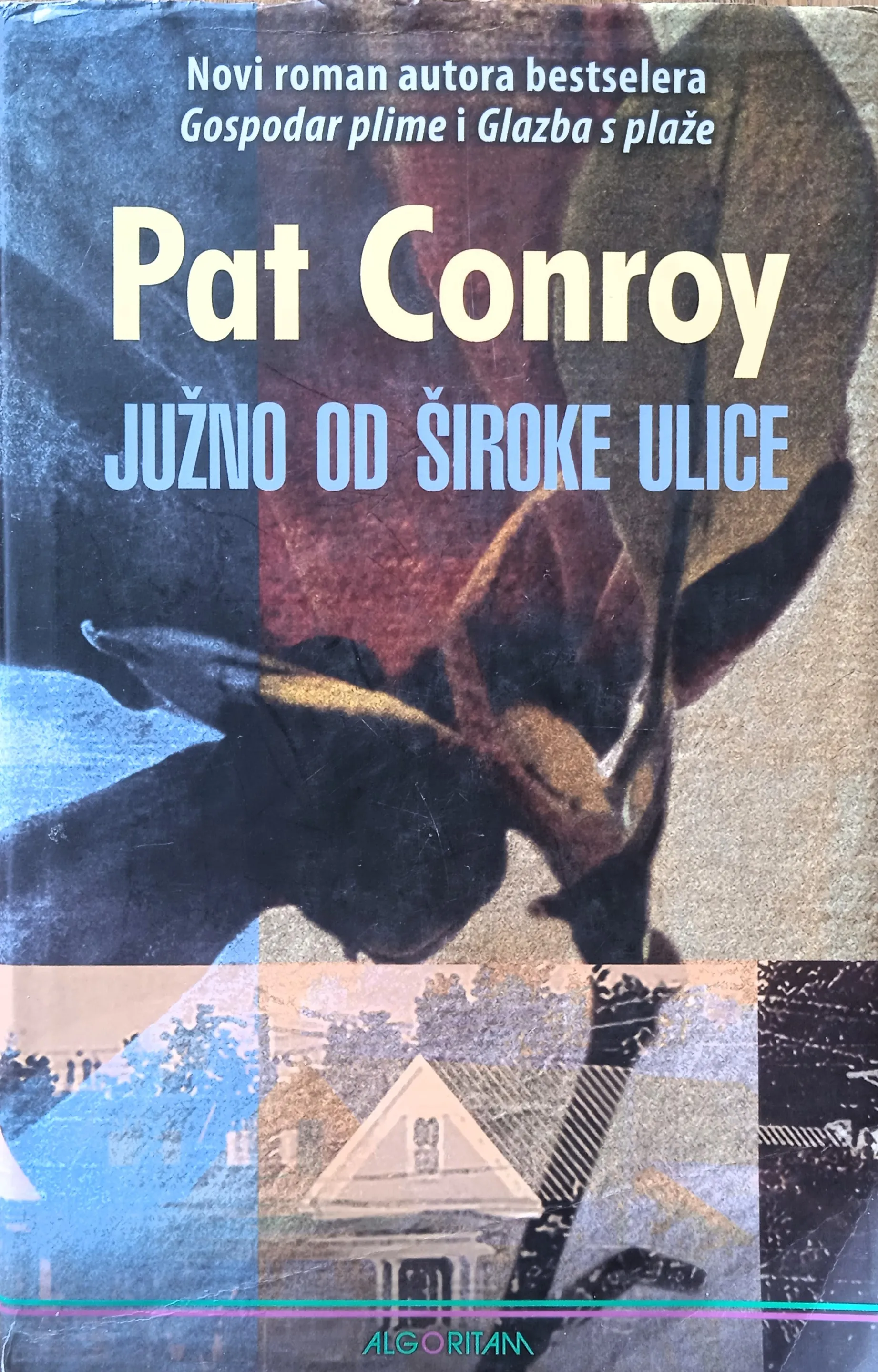 JUŽNO OD ŠIROKE ULICE Pat Conroy ALGORITAM 2011 - cover