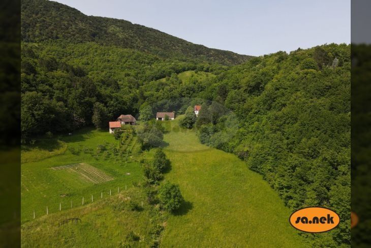 Fotografija