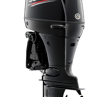 SUZUKI DF100CT - cover