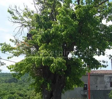 Podol, Otok Cres - Građevinsko, 492 m2 Prodaja - cover