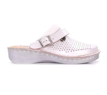 ANATOMSKE KLOMPE, Srebrna, FJHH - cover