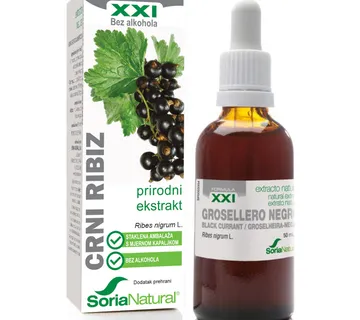 Crni ribiz XXI ekstrakt - cover