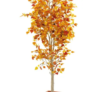 EUROPALMS Autumn tree, 180cm - cover