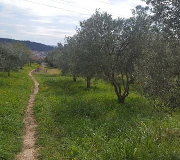 Građevinsko zemljište | Trogir | 1592 m2 | Izvrsna lokacija s pogledom | - cover