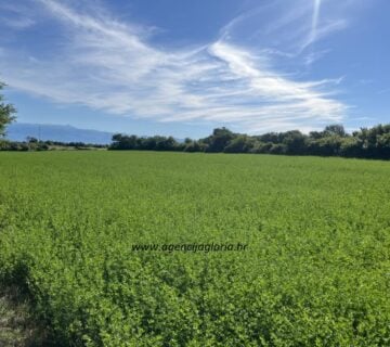 BRIŠEVO-poljoprivredno zemljište 3.877m2 - cover