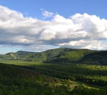 MOTOVUN OKOLICA- AUTENTIČNA KAMENA KUĆA SA BAZENOM - cover