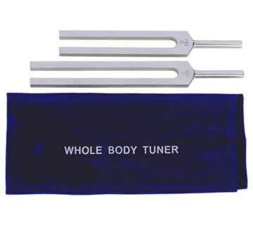 Phoenix Import Phoenix aluminijski terapeutski tuneri za cijelo tijelo Set od 2, C ton 256 Hz, G ton 384 Hz - cover