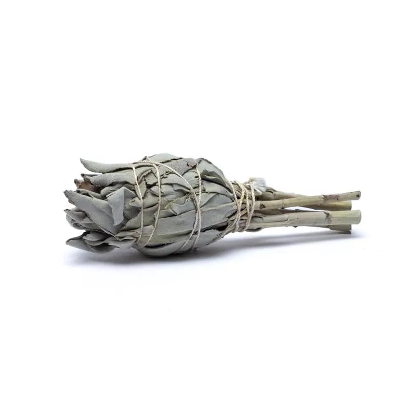21912_sage-smudge-prirodne-kadidlo-biela-salvia-3ks