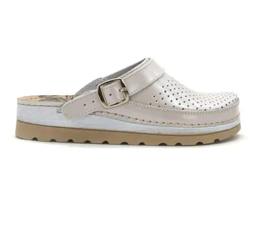 ANATOMSKE KLOMPE, Srebrna, BBHGH - cover